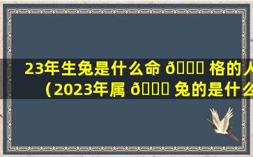 23年生兔是什么命 🍀 格的人（2023年属 🍀 兔的是什么命五行是什么）